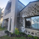 위미그라스 이미지