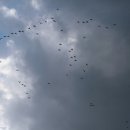산보 이미지