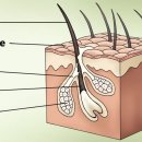 박순석동물메디컬센터