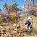 염창산 화장실 네이버블로그