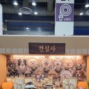 매직솔트헬스케어 | 2026 서울국제불교박람회 코엑스 현장예매 후기 | 일정•입장료•추천 부스•굿즈 총정리