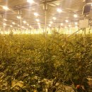 예송 농장 이미지