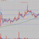 에스앤디약품 이미지