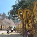 삼선산수목원 숲속도서관 | 서산 당진 가볼만한 곳 삼선산수목원 이용꿀팁 동선 아이랑 대방출