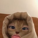 스킨스왁싱