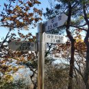 선석산 등산로 Daum카페