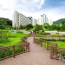 교육정책의 형평성논란...천안북일은 되고 용인외고는 안되고 이미지