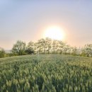 갈곡농장 이미지