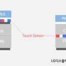 빅포 이미지