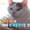 기봉이 농장 이미지