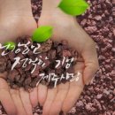 제주사랑농수산 이미지