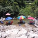 양지-2863 이미지