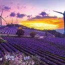 별,바람,꽃길 이미지