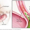 내자약국 이미지