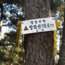 삼호3리 이미지