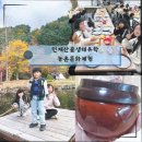 마의태자권역마을 | 인제산골생태유학 농촌 문화체험 마의태자마을