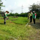 새마을 농장 이미지