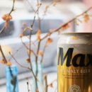 딮 게스트하우스 이미지