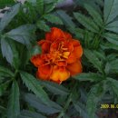 양지어린이집 이미지