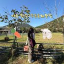 용골한우 2농장 | 여수 아이와 가볼만한곳 한우드림농장 데이트 코스 추천 입장료