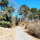 조안2리 이미지