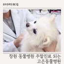 고은동물병원 이미지