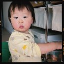 (주)쉐어딜라이트 | 육아로그, 예쁜 가을 자체방학