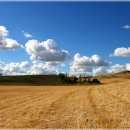 뭉실뭉실 이미지