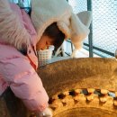 양지단비사슴농장 이미지