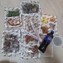 충주현지인맛집 충주보쌈추천 써는족족 서충주점 포장후기
