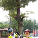 하오개길 이미지