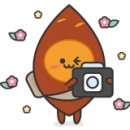 오보테 이미지