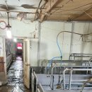 재교농장 이미지