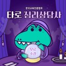 일상에서 활용 가능한 타로 기초 | 타로심리상담사 1급 자격증, 점 보기가 아닌 마음 읽고 치유하는 도구로 타로를 다시 배우는 과정