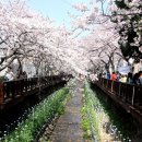 진해구 ⓒ-4 이미지