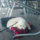 나도나도 이미지