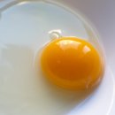 J.K 농장 이미지