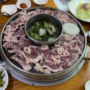 양수리 오리학교 | 양평 부모님 모시고 가기좋은 맛집 애견동반 식당 양수리 오리학교 내돈내산 후기