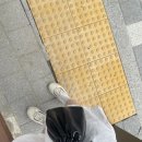 왕고집매운탕 이미지