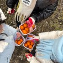 영빈농장 이미지