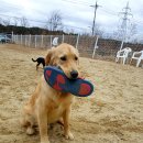 늘하우스 이미지