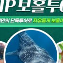 패키지보다 쉬운 자유여행 이미지