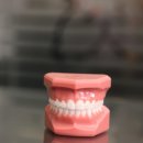 서울김치과 이미지