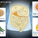 고추의 매운 성분, 암세포 파괴 과정 밝혀져 이미지