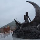 녹산사슴 Daum카페
