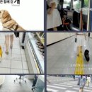 브이노마드