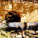 우족산약수터 이미지