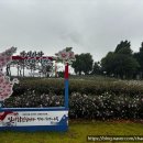 숯불무궁화갈비 이미지