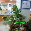 상도1동사무소