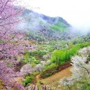 금산-23 이미지